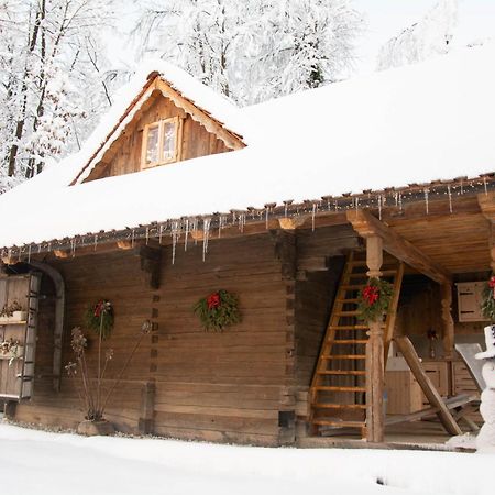 Apartma Kasca Domzale Bagian luar foto