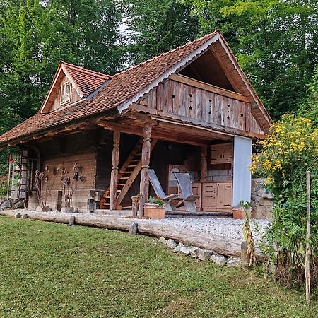 Apartma Kasca Domzale Bagian luar foto