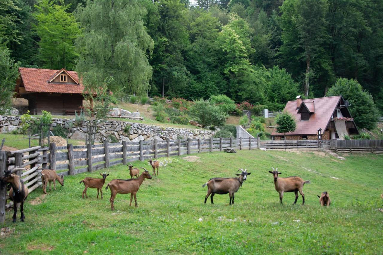 Apartma Kasca Domzale Bagian luar foto